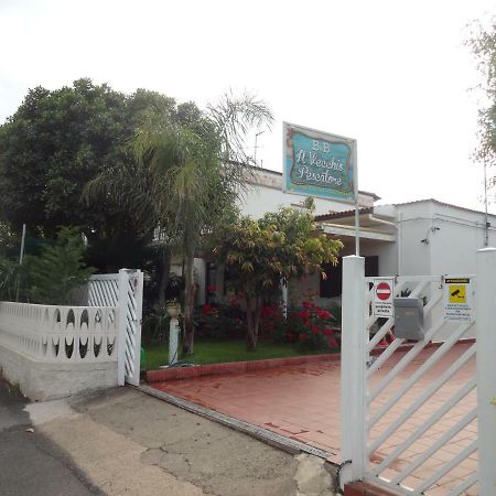 Il Vecchio Pescatore Bed & Breakfast Amendolara Ngoại thất bức ảnh